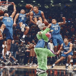 爱游戏综合娱乐-比利时马术协会推出马术运动员职业发展规划，促进人才培养。，比利时马拉松运动员